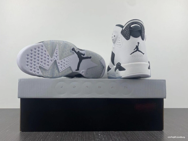 Jordan Oreo 384664-101 Retro 6 0826